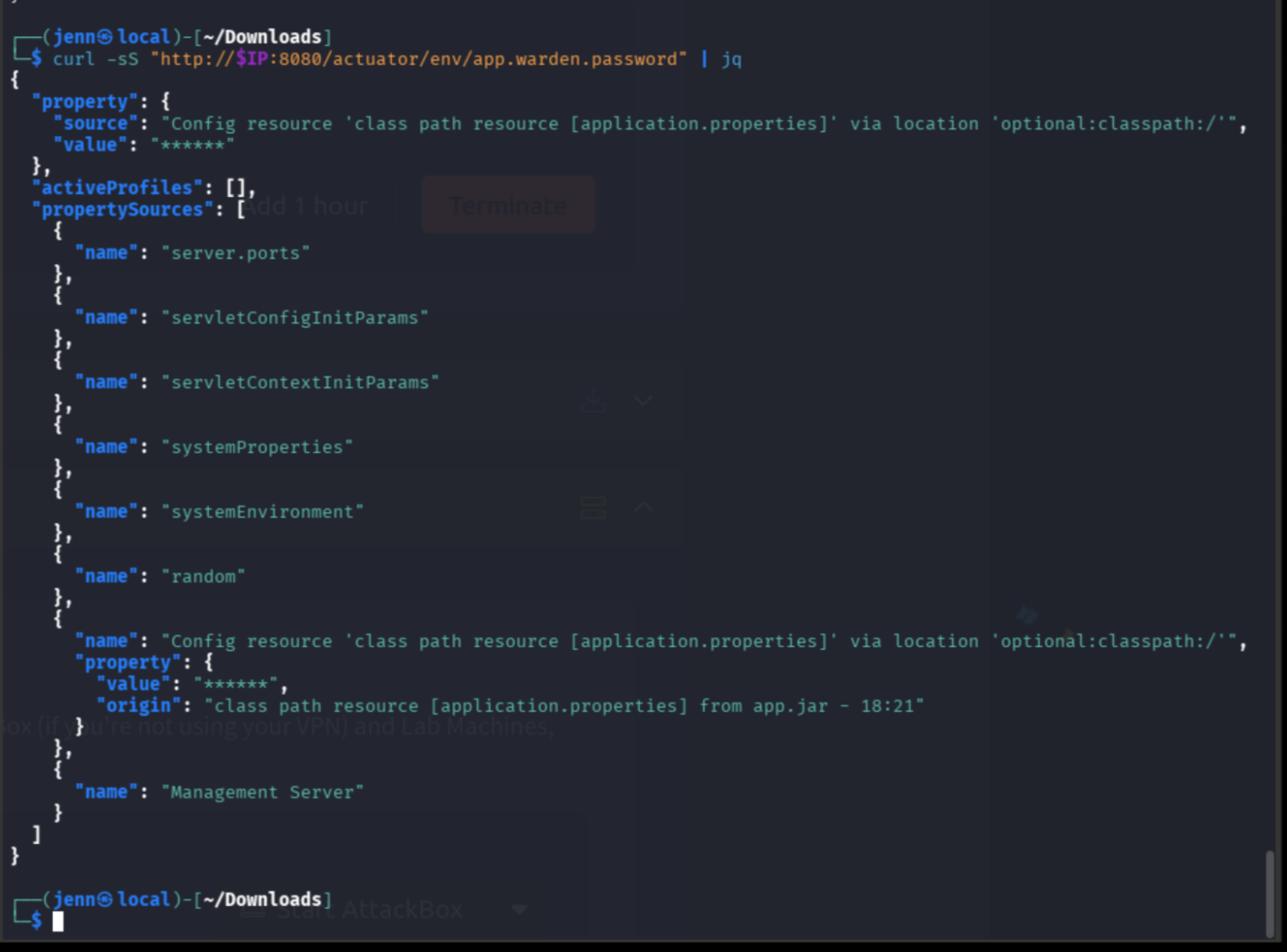 Actuator env endpoint confirming warden password property exists but value is sanitized